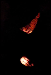 portrait, 2004